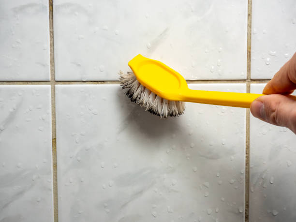 Best Professional Mold Removal  in Reidsville, GA